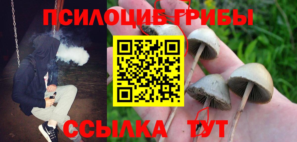 Йошкар-Ола  Псилоцибиновые грибы ЛСД  Вход с VPN 
